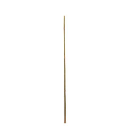 BAMBUS TYČ 210CM