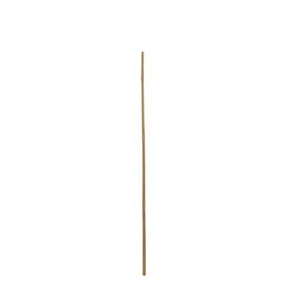 BAMBUS TYČ 180CM