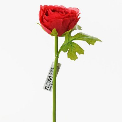 KS RANUNCULUS ČERV. 27CM