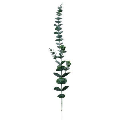 KS EUCALYPTUS 69CM