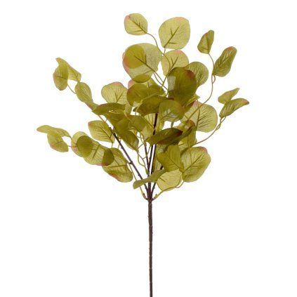 KS EUKALYPTUS ZELENÝ 49CM