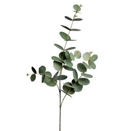 KS EUCALYPTUS 84CM