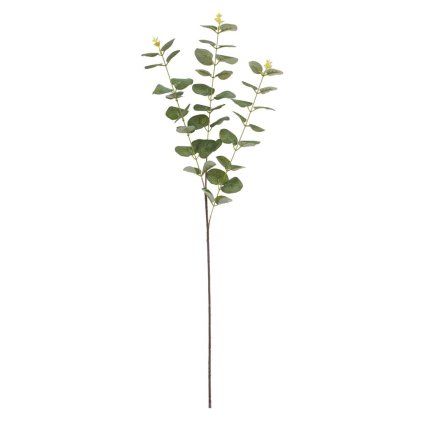 KS EUCALYPTUS CINEREA ZELENÝ 83CM