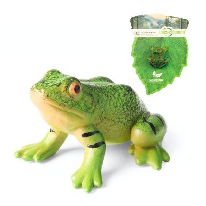 Žaba