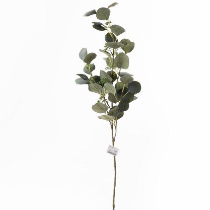 KONÁR EUCALYPTUS POPULUS PLODY 86CM