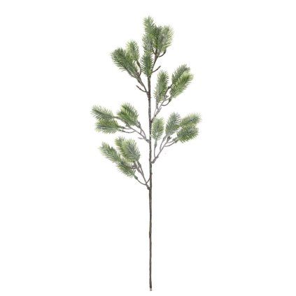 KONÁR ČEČINA 64CM
