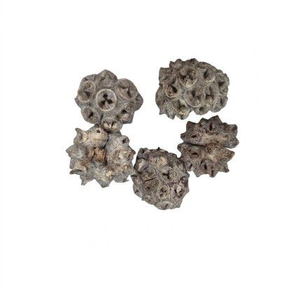 Spidergum knobs loose 250gr 28x12x6cm