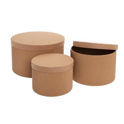 BOX kraft S/3 FB040