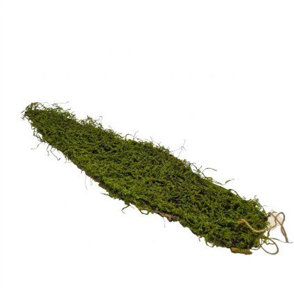 Kôra s machom dekor.