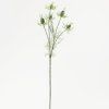 KONÁR NIGELLA BL.ZELENÁ 60CM