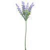 KS LEVANDUĽA 30CM