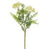 KS SEDUM BIELE 42CM