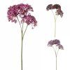 SEDUM MIX 3F 36CM