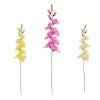 KS GLADIOLA, MIX/3F 69CM