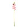 KS ORCHIDEA PHALAENOPSIS BLEDO-RUŽOVÁ 72CM