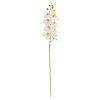 KS ORCHIDEA PHALAENOPSIS BIELA 95CM