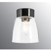 Lampa se skleněným stínítkem Open Clara, čiré sklo černá