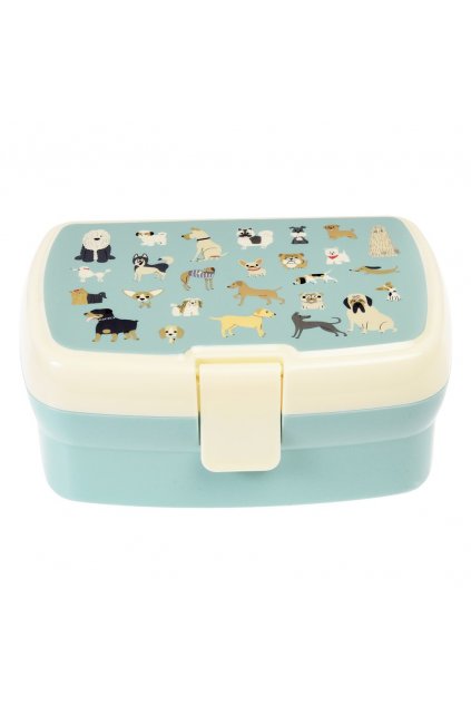 29121 1 best show lunch box tray