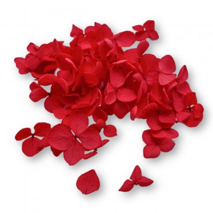 Blooming Nails BRIGHT RED