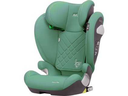 6dcfe81e375c4c6a5edd189192aa0c40