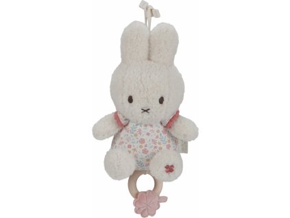 NIJN365LD 2 uncompressed