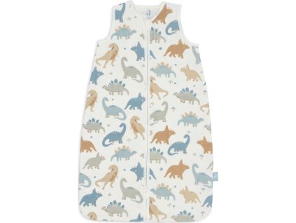 048 516 67100 uncompressed