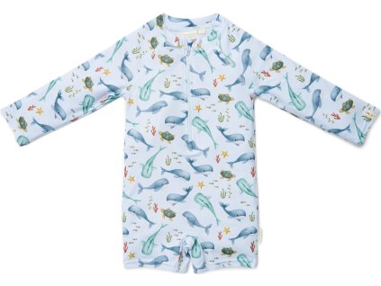 CL25038103LD uncompressed