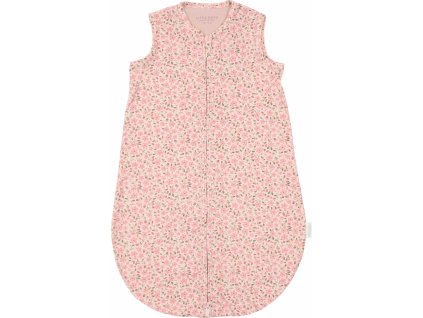 TE11454031LD uncompressed