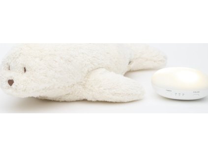 8664MOO uncompressed