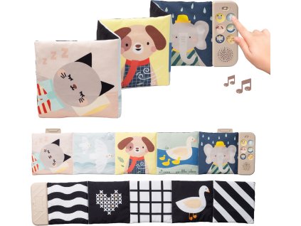 13835TAF uncompressed