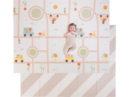 13855TAF uncompressed