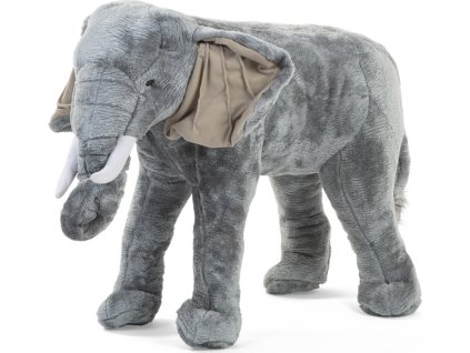 CHSTELEP60 uncompressed