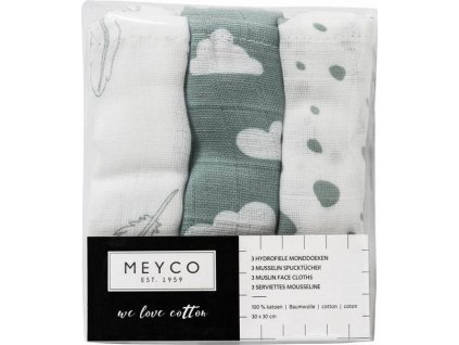 e91e7c75f765cd01559f2e72248b9742