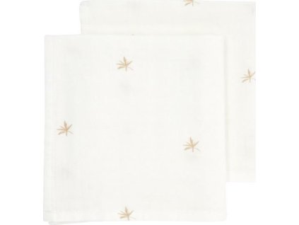 d85eba14d03cbb53c801675e75c0a69d