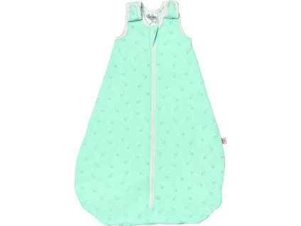 g 4299 slbsmagnfsh1 1