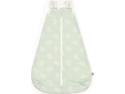 g 4476 slbsmstrmnt1 1