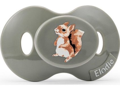 7333222021717 30100205875na pacifier chipmunk darling pp 1