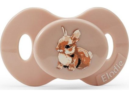 7333222021724 30110202874na pacifier newborn bunny darling pp 1