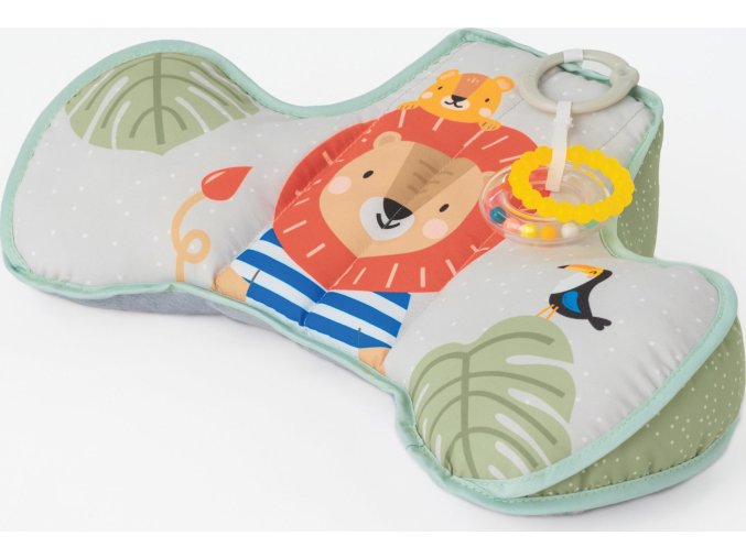 12895TAF 4 uncompressed