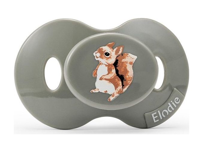 7333222021717 30100205875na pacifier chipmunk darling pp 1