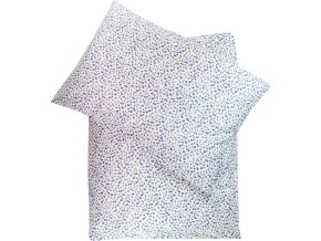 vyr 2177 IMG 7297aa