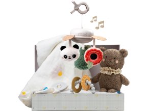 Taf Toys Sada hraček Newborn Luxe