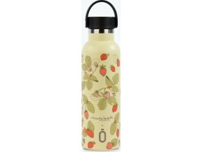 Runbott Termoláhev 600 ml Strawberries