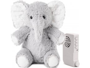 CLTT7306EL uncompressed