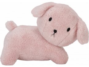 NIJN939LD uncompressed