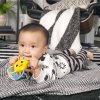 BABY EINSTEIN BABY EINSTEIN Kousátko s chrastítkem Soothing Star bez BPA 0m+