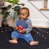 BABY EINSTEIN BABY EINSTEIN Hračka hudební senzorická Roxy's Bright Flight™ 3m+