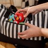 BABY EINSTEIN BABY EINSTEIN Hračka hudební senzorická Roxy's Bright Flight™ 3m+