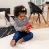 BABY EINSTEIN BABY EINSTEIN Hračka hudební senzorická Roxy's Bright Flight™ 3m+