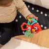 BABY EINSTEIN BABY EINSTEIN Hračka hudební senzorická Roxy's Bright Flight™ 3m+